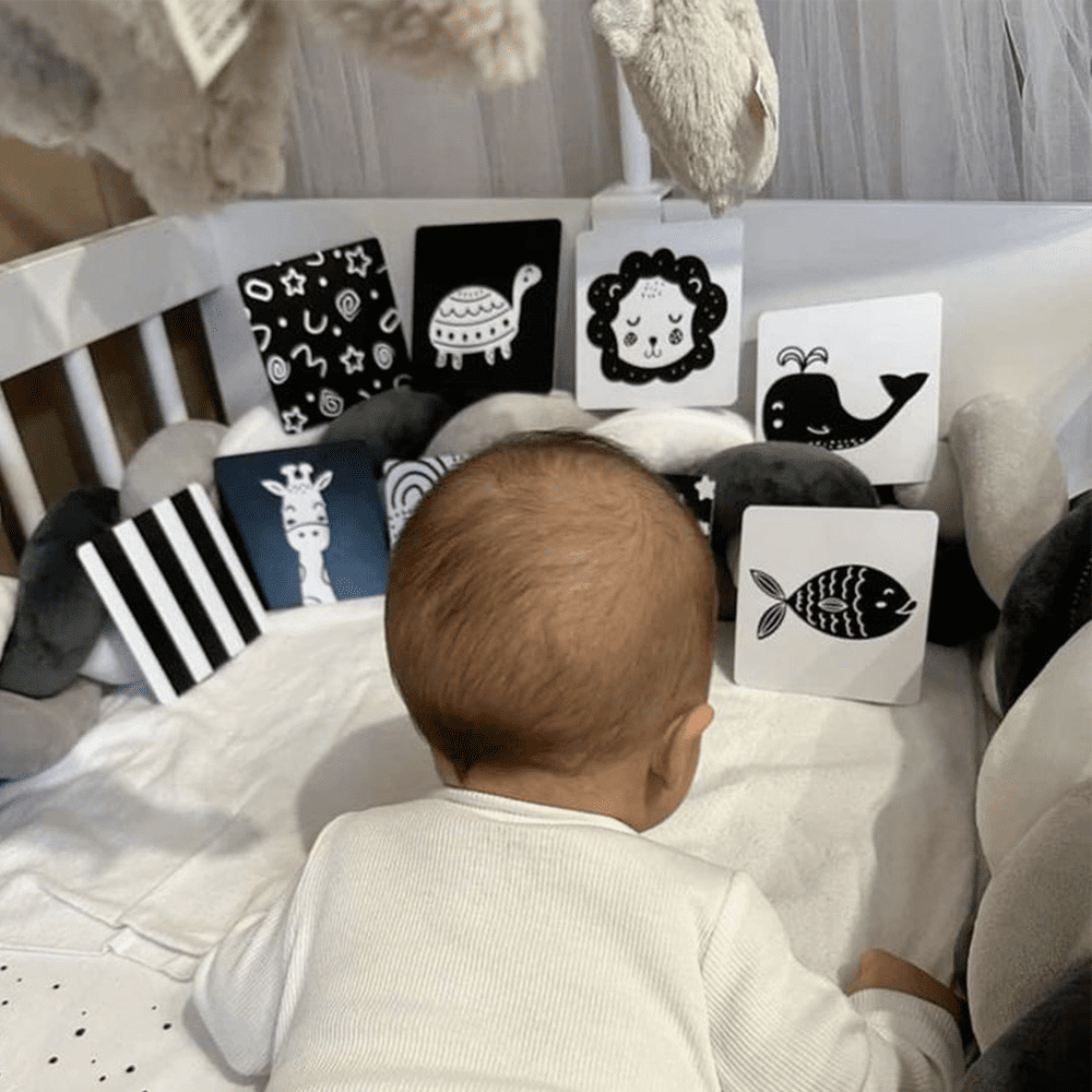 cartes bébé contraste noir blanc développement visuel