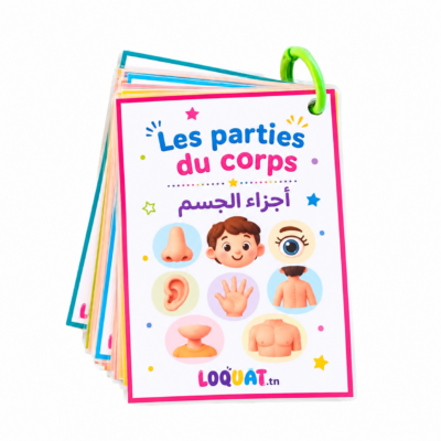 Flashcards parties du corps enfant français arabe